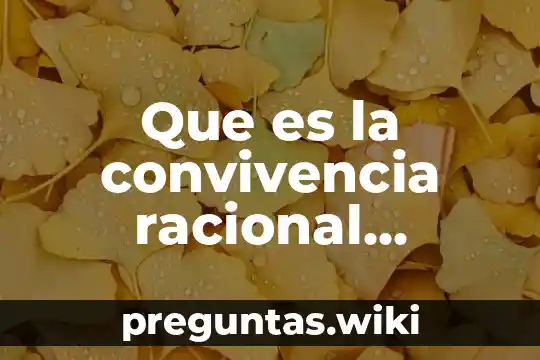 Que es la convivencia racional concepto filosofico