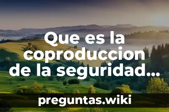 Que es la coproduccion de la seguridad ciudadana