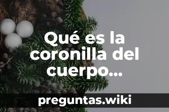 Qué es la coronilla del cuerpo humano