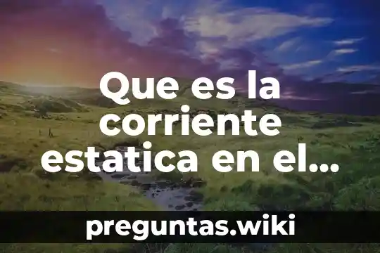 Que es la corriente estatica en el cuerpo humano