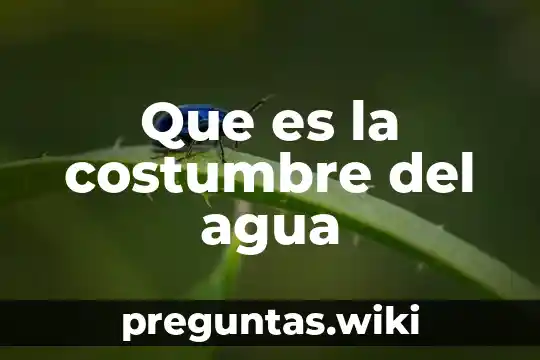 Que es la costumbre del agua