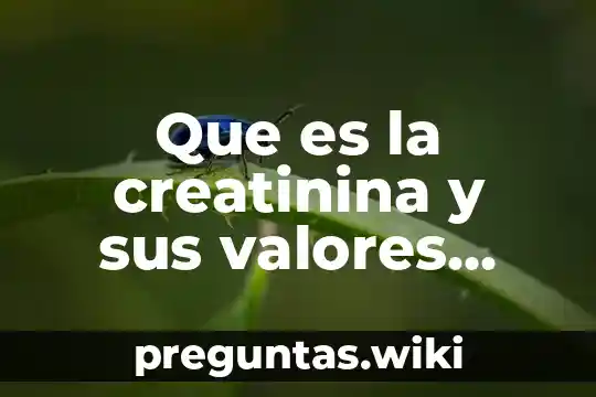 Que es la creatinina y sus valores normales