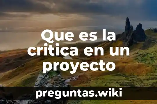 Que es la critica en un proyecto