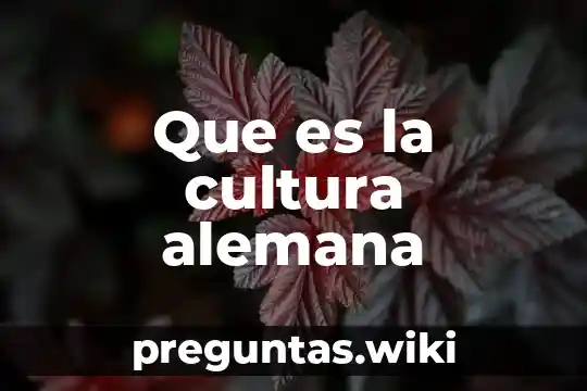 Que es la cultura alemana