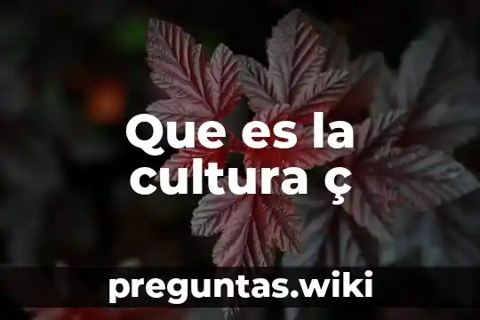 Que es la cultura ç