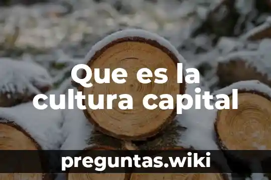 Que es la cultura capital