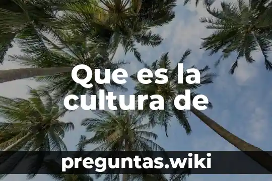 Que es la cultura de
