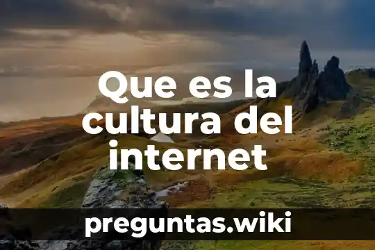 Que es la cultura del internet