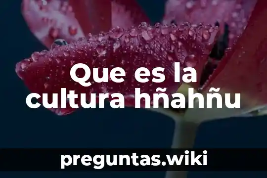 Que es la cultura hñahñu