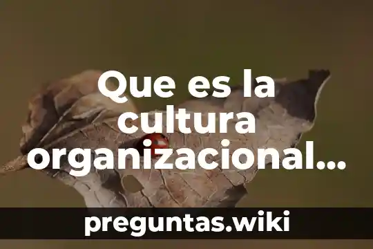 Que es la cultura organizacional personalidad