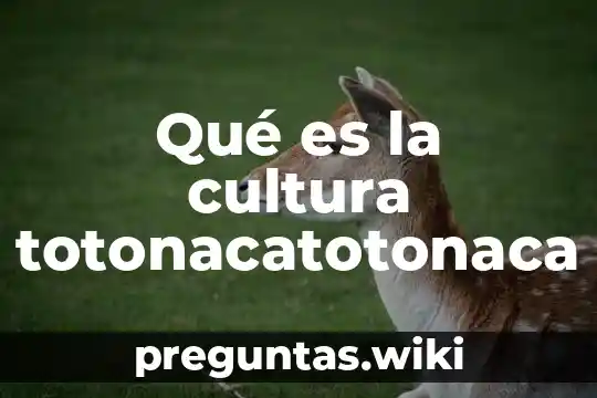 Qué es la cultura totonacatotonaca