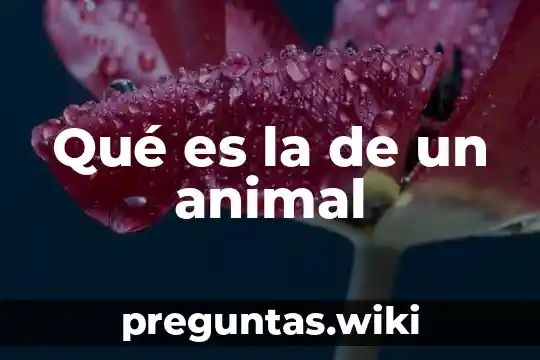 Qué es la de un animal