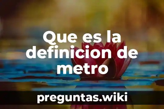 Que es la definicion de metro