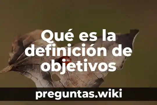 Qué es la definición de objetivos