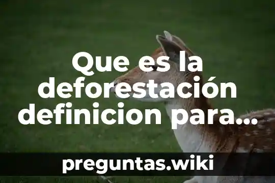 Que es la deforestación definicion para niños