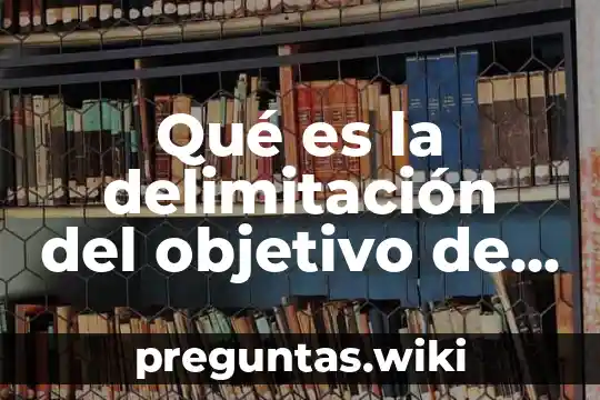 Qué es la delimitación del objetivo de la entrevista
