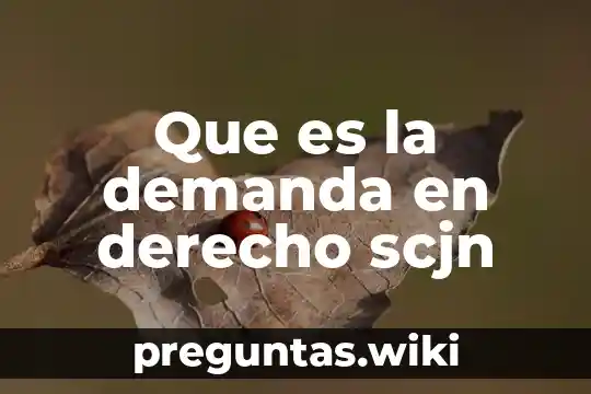 Que es la demanda en derecho scjn