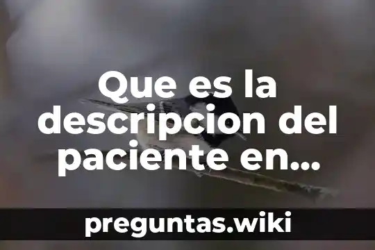 Que es la descripcion del paciente en una historia clinica