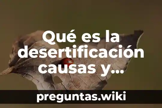 Qué es la desertificación causas y consecuencias