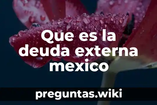 Que es la deuda externa mexico