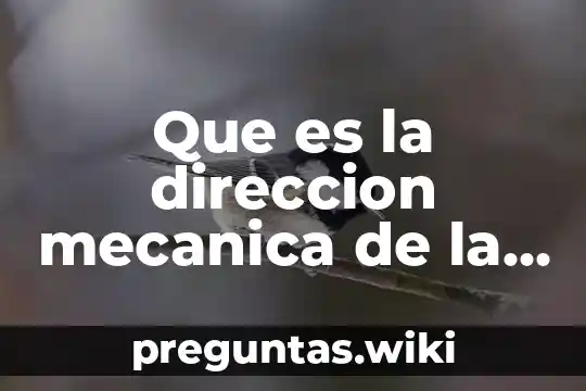 Que es la direccion mecanica de la volkswagen