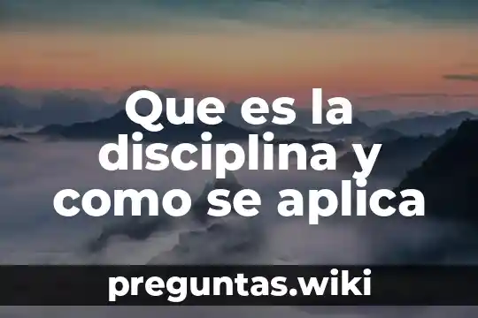 Que es la disciplina y como se aplica