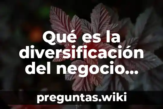 Qué es la diversificación del negocio según Nielsen Luna