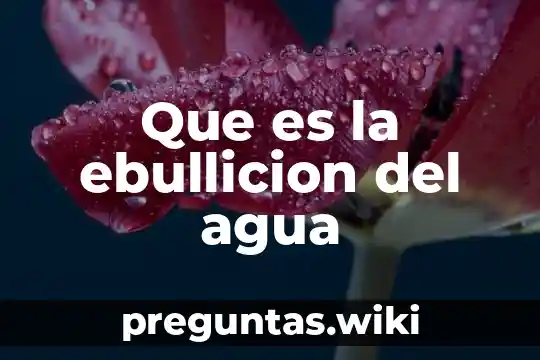 Que es la ebullicion del agua