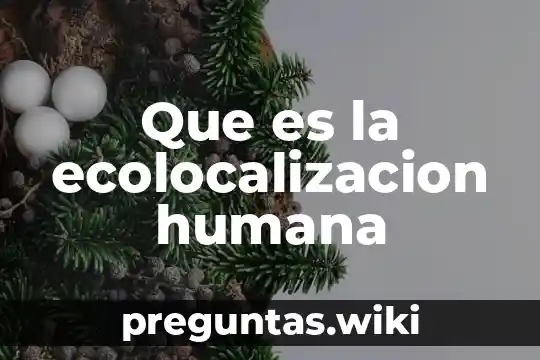 Que es la ecolocalizacion humana