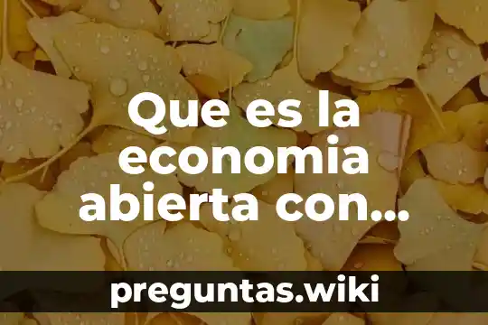 Que es la economia abierta con precios fijos