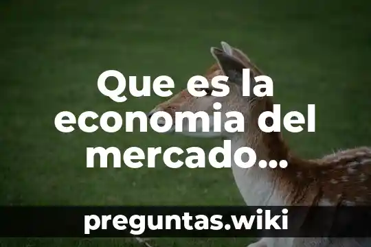 Que es la economia del mercado descentralizada y centralizada