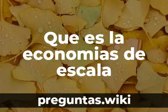 Que es la economias de escala