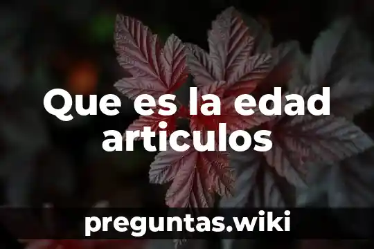 Que es la edad articulos
