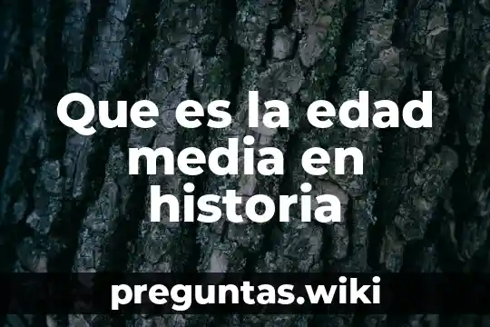 Que es la edad media en historia