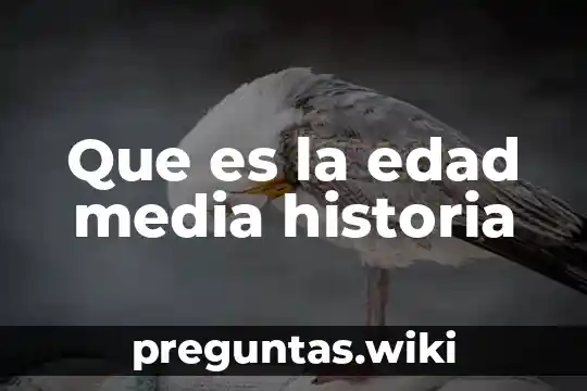 Que es la edad media historia