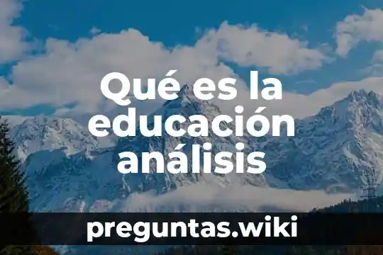 Qué es la educación análisis