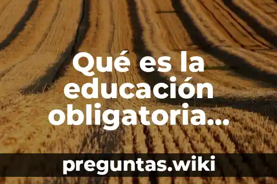 Qué es la educación obligatoria perfil
