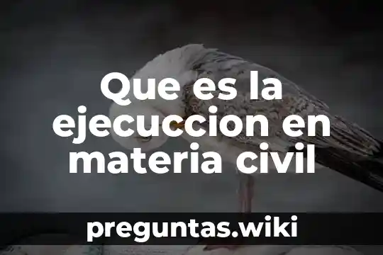 Que es la ejecuccion en materia civil