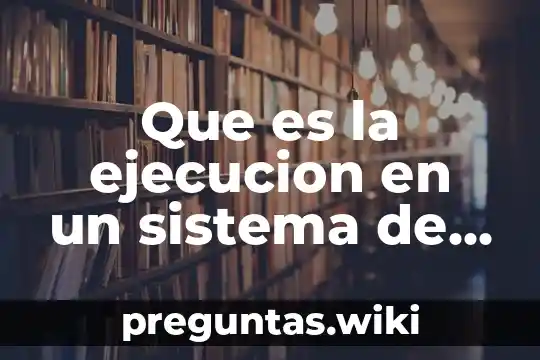 Que es la ejecucion en un sistema de información
