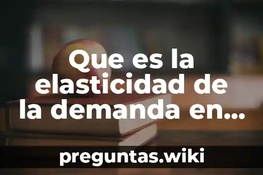 Que es la elasticidad de la demanda en economia