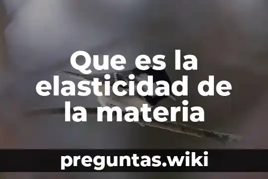 Que es la elasticidad de la materia