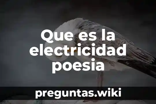 Que es la electricidad poesia