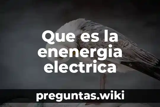 Que es la enenergia electrica