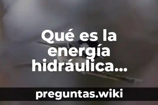 Qué es la energía hidráulica física