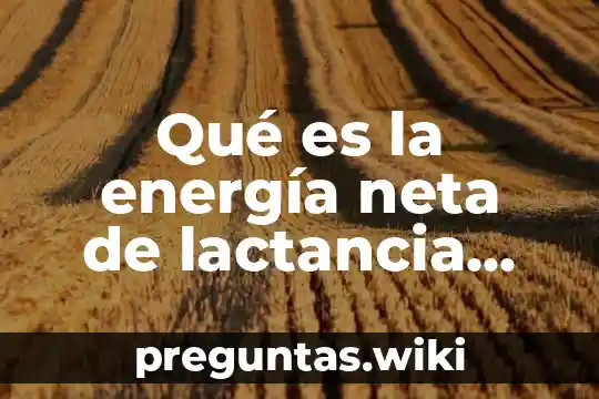 Qué es la energía neta de lactancia definición