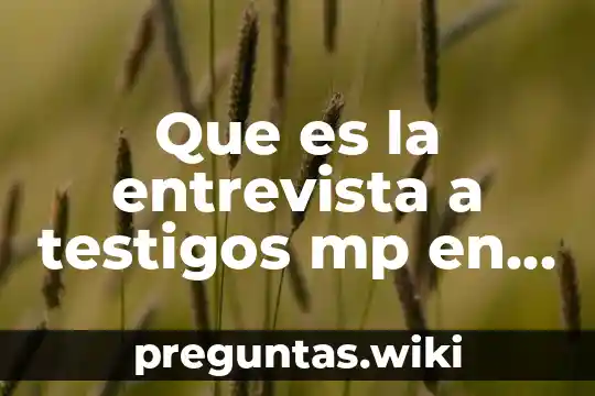 Que es la entrevista a testigos mp en mexico