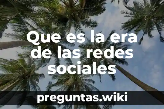 Que es la era de las redes sociales