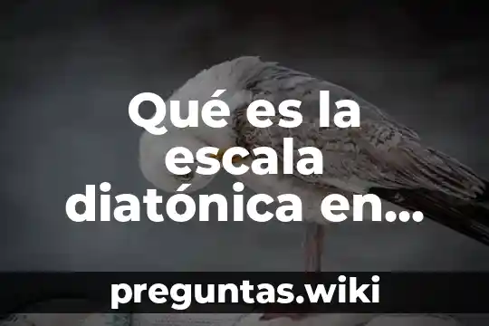 Qué es la escala diatónica en música