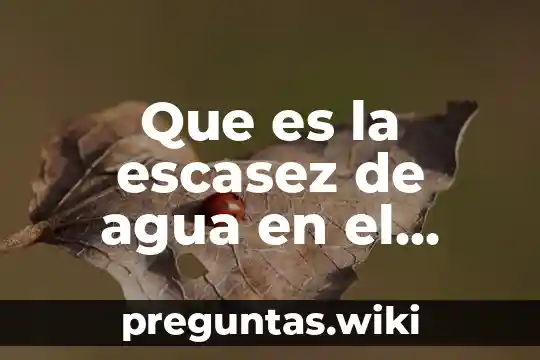 Que es la escasez de agua en el mundo