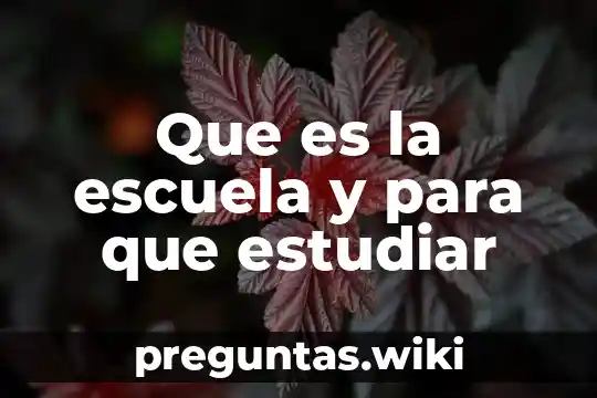 Que es la escuela y para que estudiar